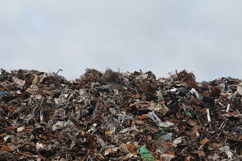 Free Dumpsite under Clear Sky Stock Photo